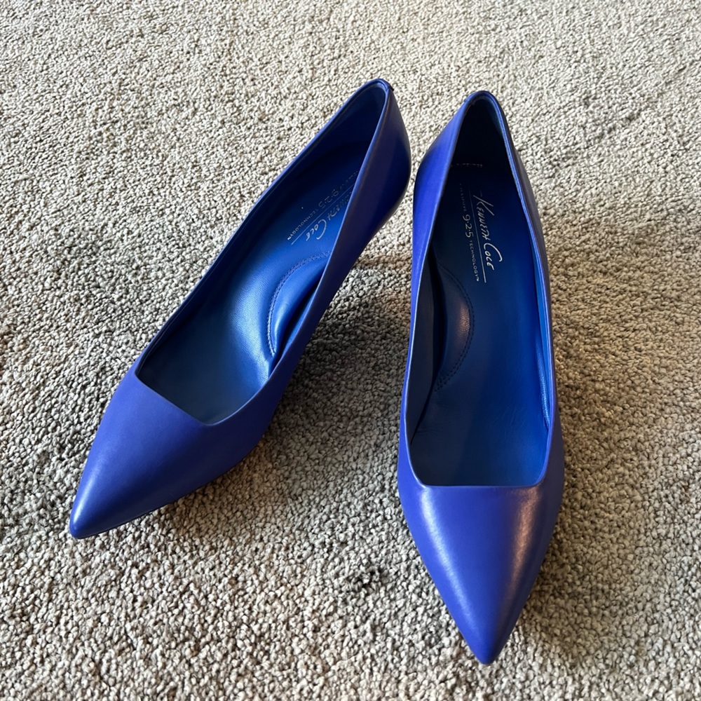 NEW Pointed Royal Blue Kitten Heel